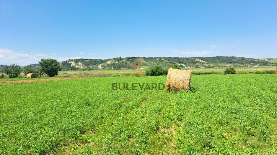 Comision 0! Casa individuala, teren 2363 mp, cartier Poiana! - Poză 9