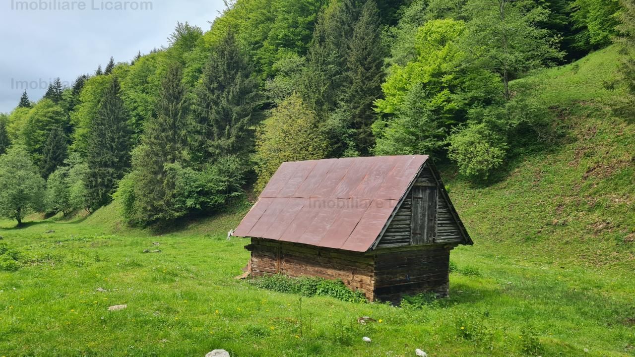 13005 mp teren faneata in Bran Simon cu fornt de 57 mp - Poză 8