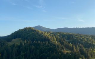 Teren Intravilan 1000mp-panorama-oportunitate investitie-Colibita - Poză 4