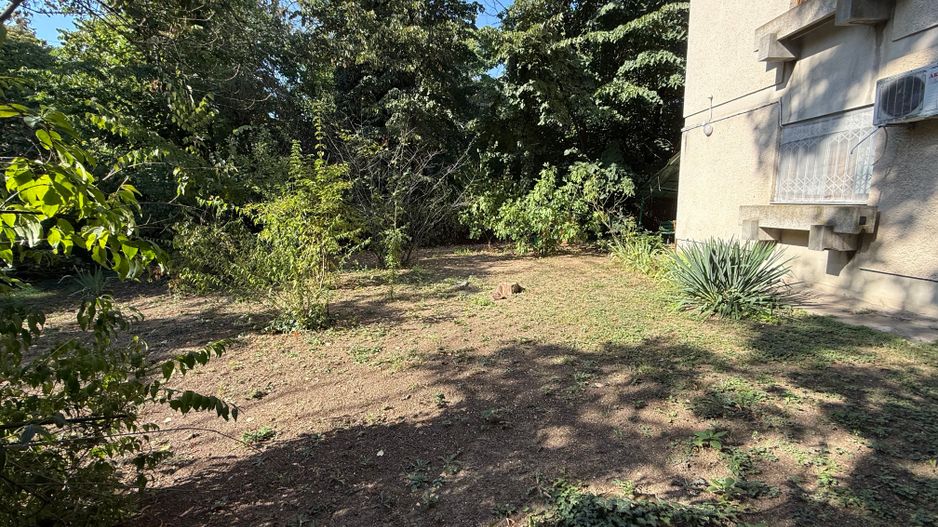 De vanzare 4 camere, curte exclusivă 250 mp, Str. Uruguay - Bucuresti - Poză 22
