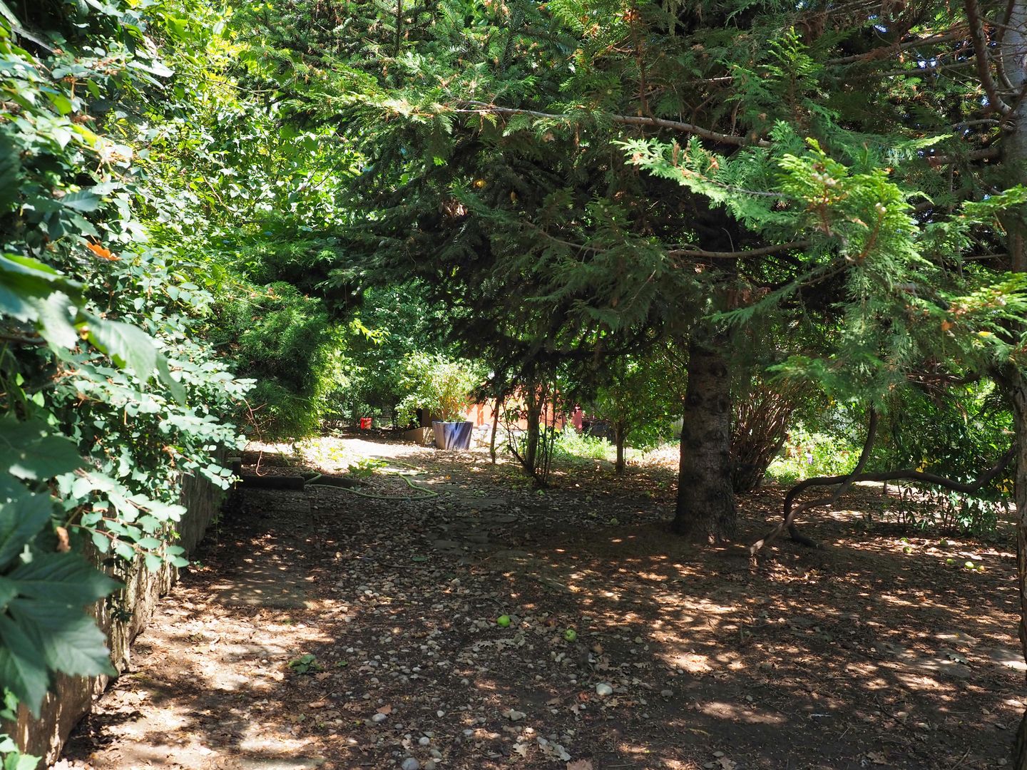 NOU-VILA 6 CAMERE SNAGOV IZVORANI LAC -TEREN 1800mp - Poză 21