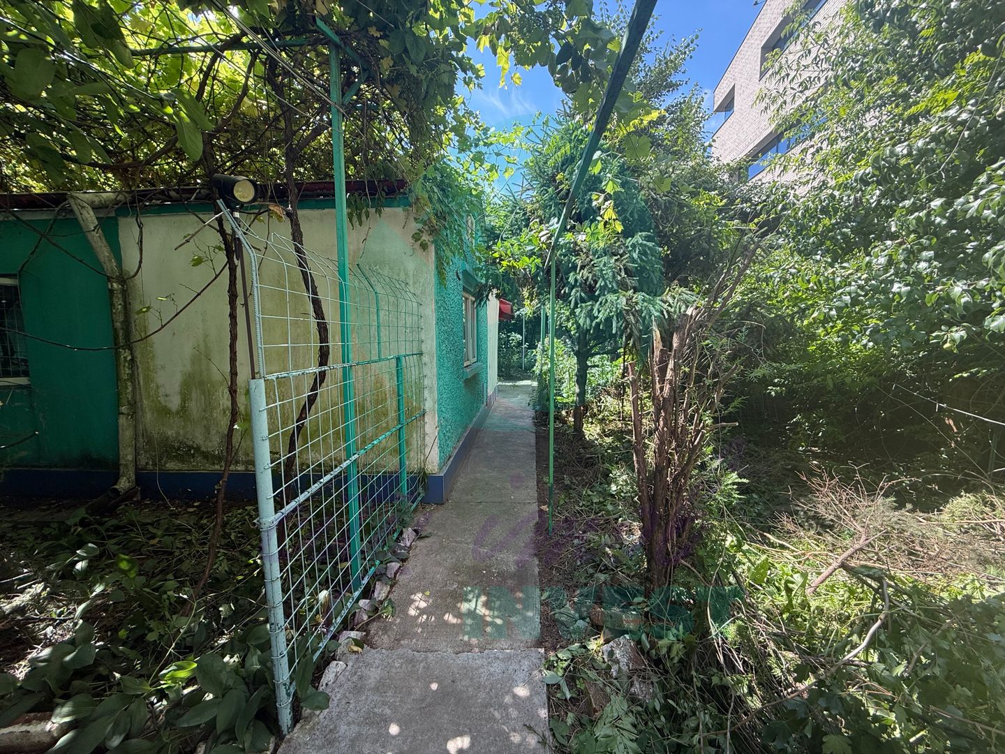 "Casa bunicii" pe un lot de teren de 307 mp - Poză 2