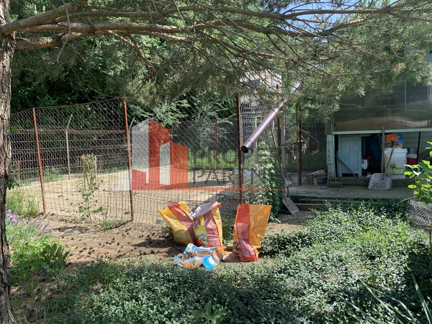 English garden, Sabareni padurea Cereanca - Poză 2