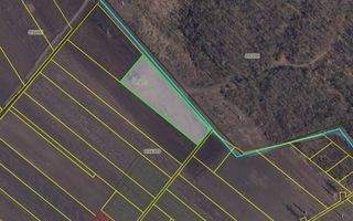 Teren 41,49 ari Ghidighici | deschidere 122 m | agricol | investiție - Poză 6