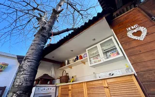 Apartament in Vila *142mp* / *100mp curte proprie* / Garaj // Kiseleff - Poză 40