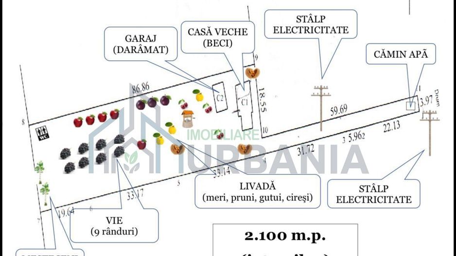 Teren (pt casa) intravilan - vie, livada, utilități - Poză 1