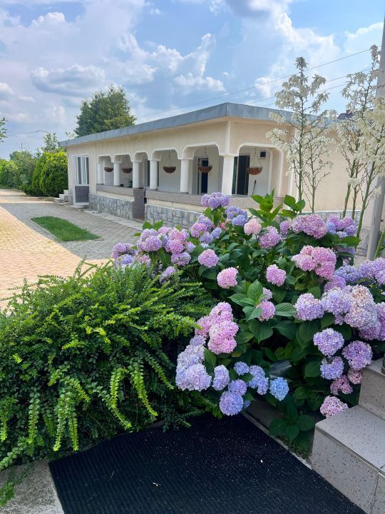 Casa visurilor cu 4000 mp livada roditoare si gradina Darmanesti-Arges - Poză 27