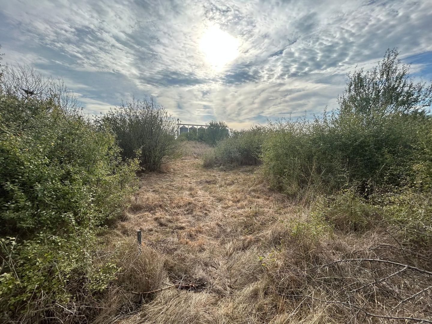 COMISION 0 | Teren intravilan | 945mp | Sacalaz Vest - Poză 3