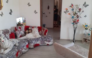 APARTAMENT 2 CAMERE, ETAJ 4, BLOC DE CARAMIDA, CAMPULUNG