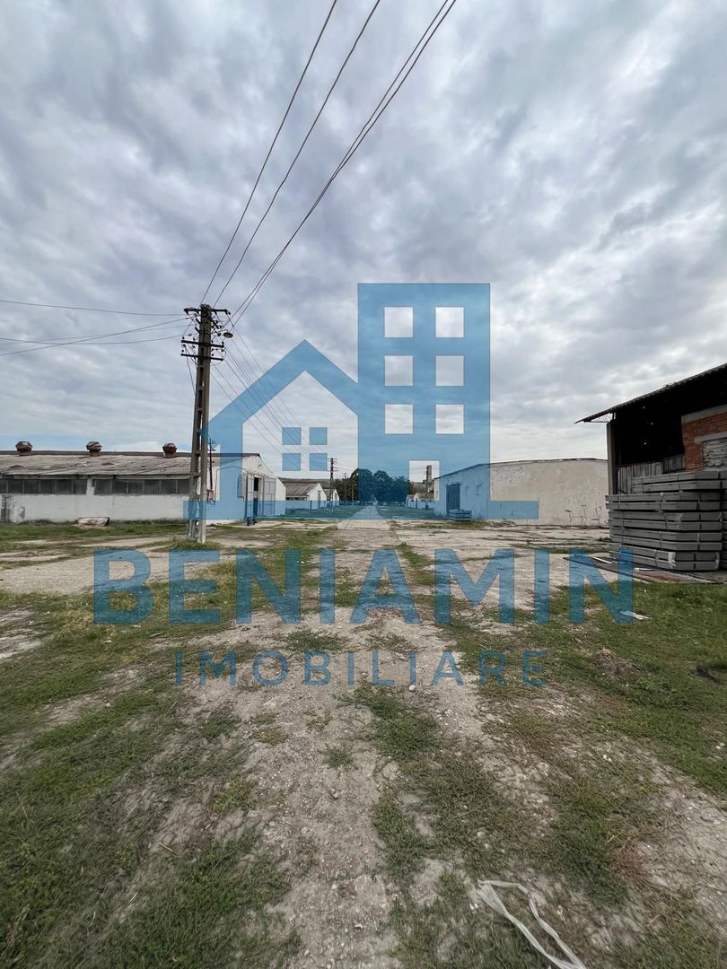 60.000mp Ferma de bovine, păsări, porcine, culturi agricole Diverse - Poză 6