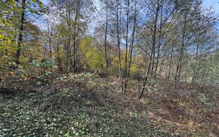 TEREN INTRAVILAN 13167 MP BUGHEA DE SUS ARGES - Poză 30