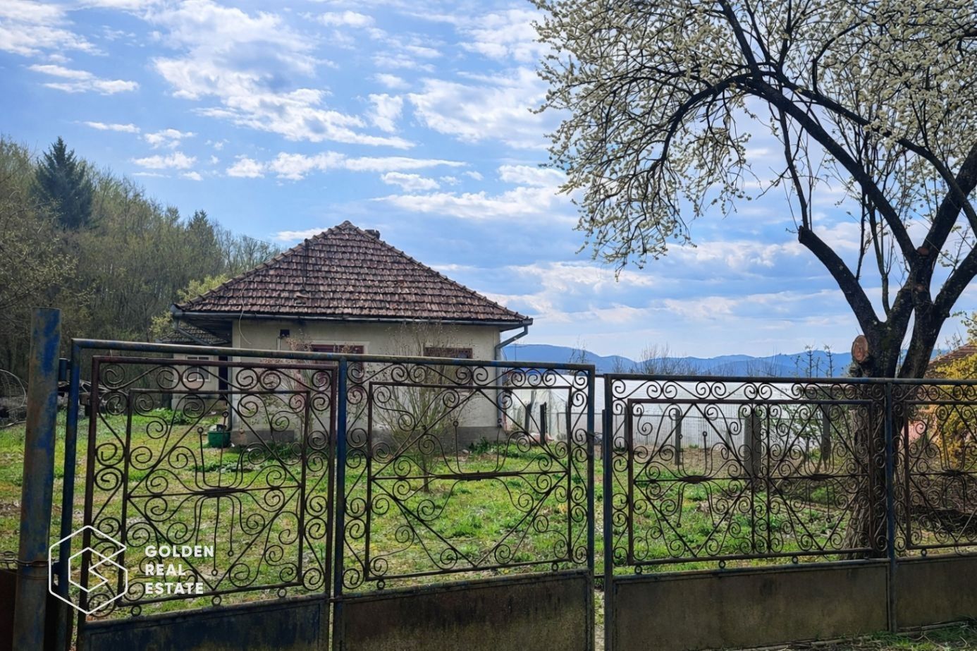 Casă cu teren generos 1.944 mp, Măgulicea, Vârfurile - Poză 15