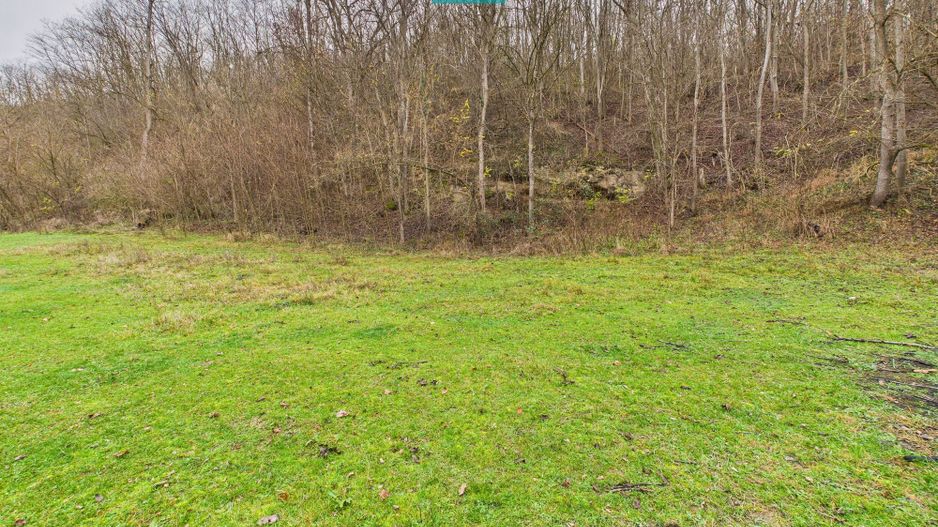 Casă cu teren de 24.679,73 mp, în Hălmagiu, Arad - Poză 24