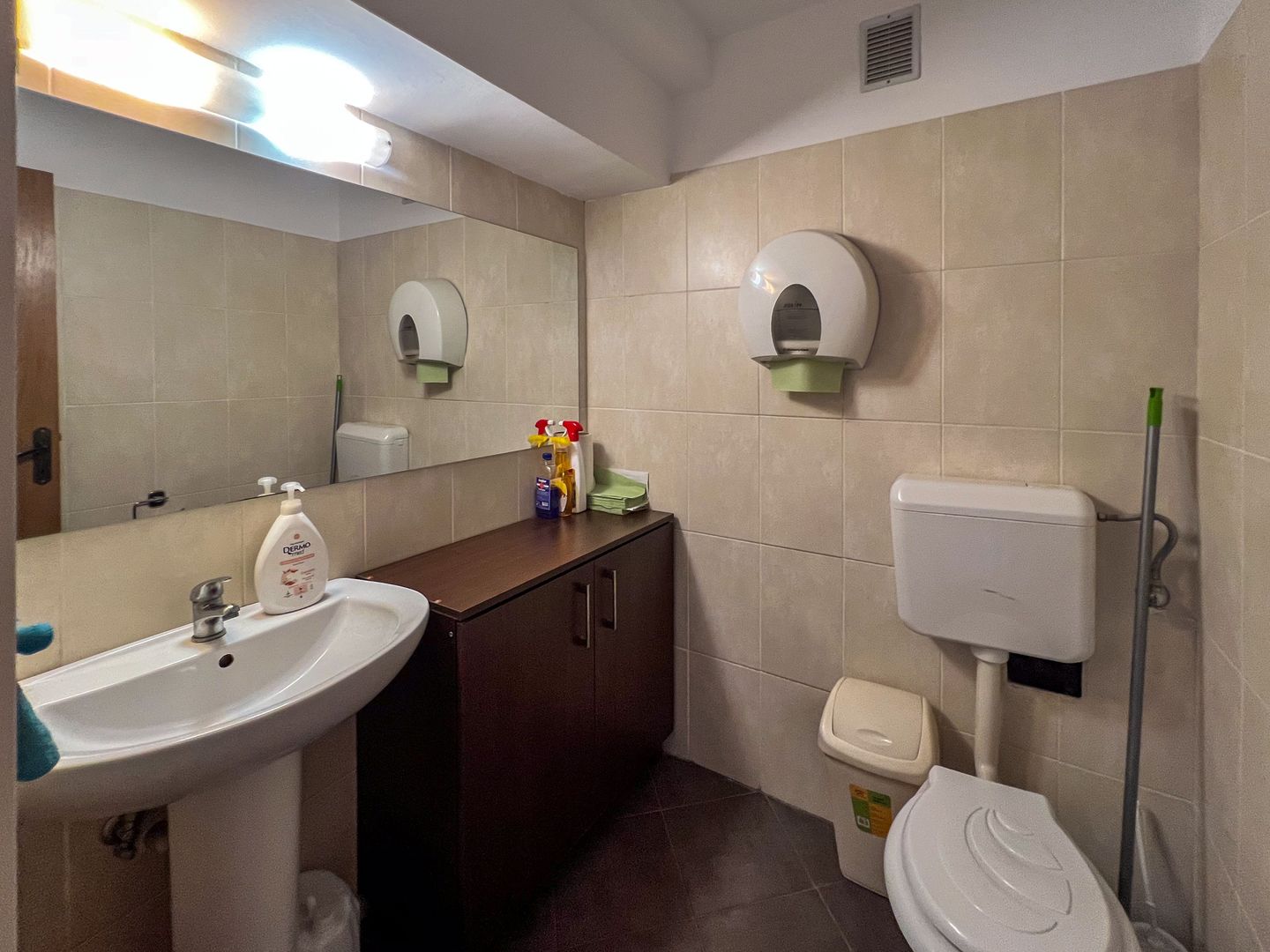 Duplex reprezentativ de închiriat – 240 mp | Bulevardul Unirii 61 - Poză 10