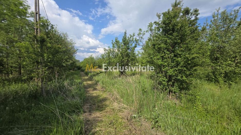 De Vânzare Casă Valea Vinului - Poză 14
