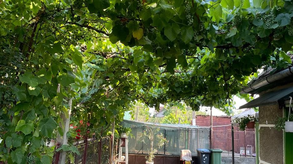 Casa parter 35 km de la Timisoara - Poză 12