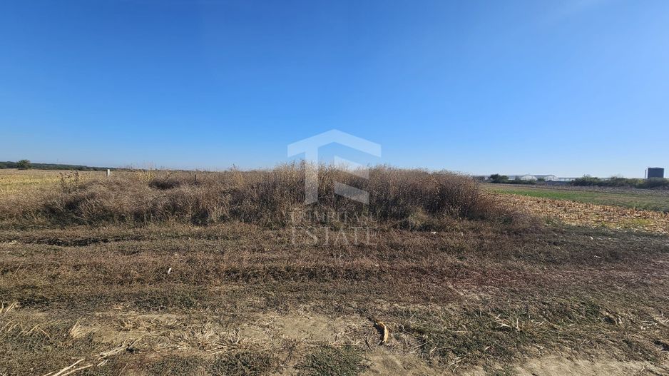 Copăceni - Ilfov - Teren intravilan arabil de vânzare - 1.148 mp - Poză 3