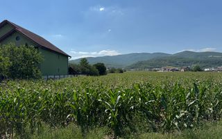 Teren intravilan de vanzare, Alba-Micesti - Poză 2