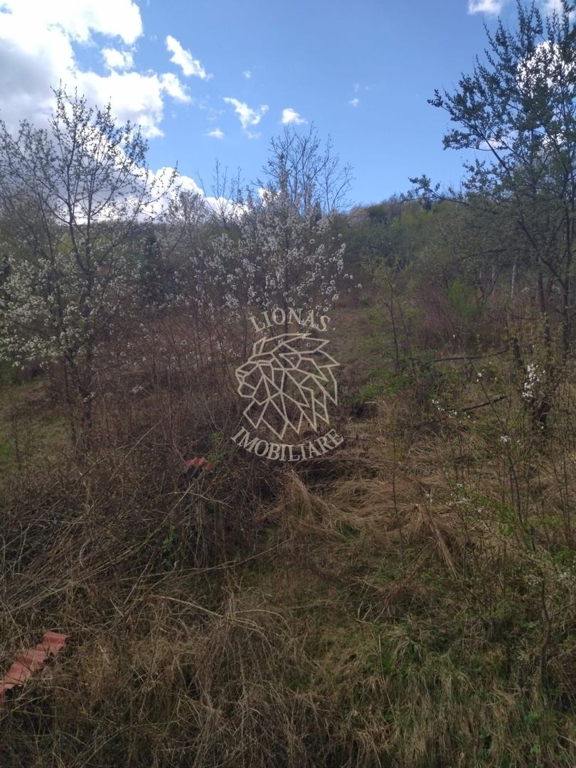 Casa P+M 3 camere 110 mp-teren 1400 mp-Zona Valea Jelnei - Poză 15