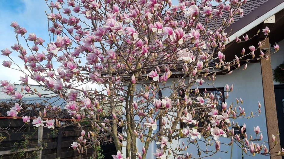 Oportunitate investiție - Casă de vânzare, gata închiriată pe termen lung - Poză 9