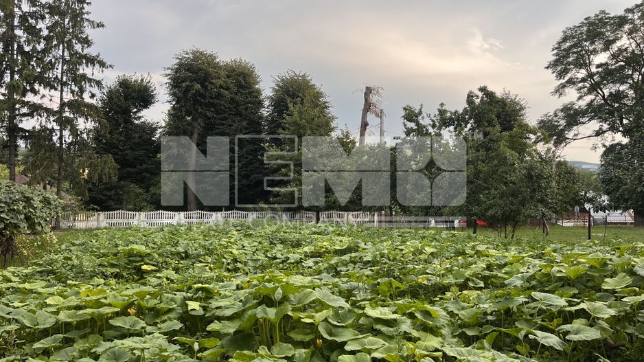 TEREN INTRAVILAN 10 ARI  I Rotopanesti/Suceava I 20.000Euro - Poză 1