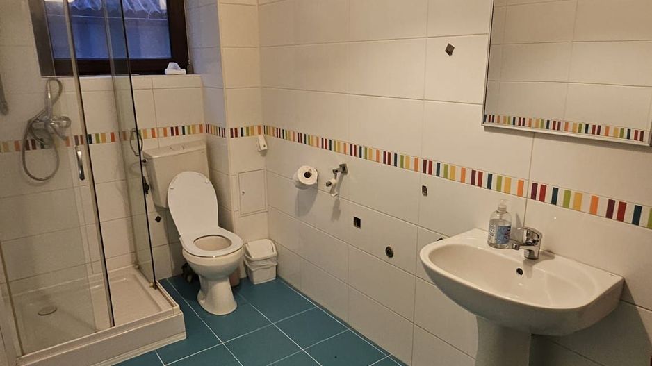 Vila 8 camere Dascalu - Poză 8