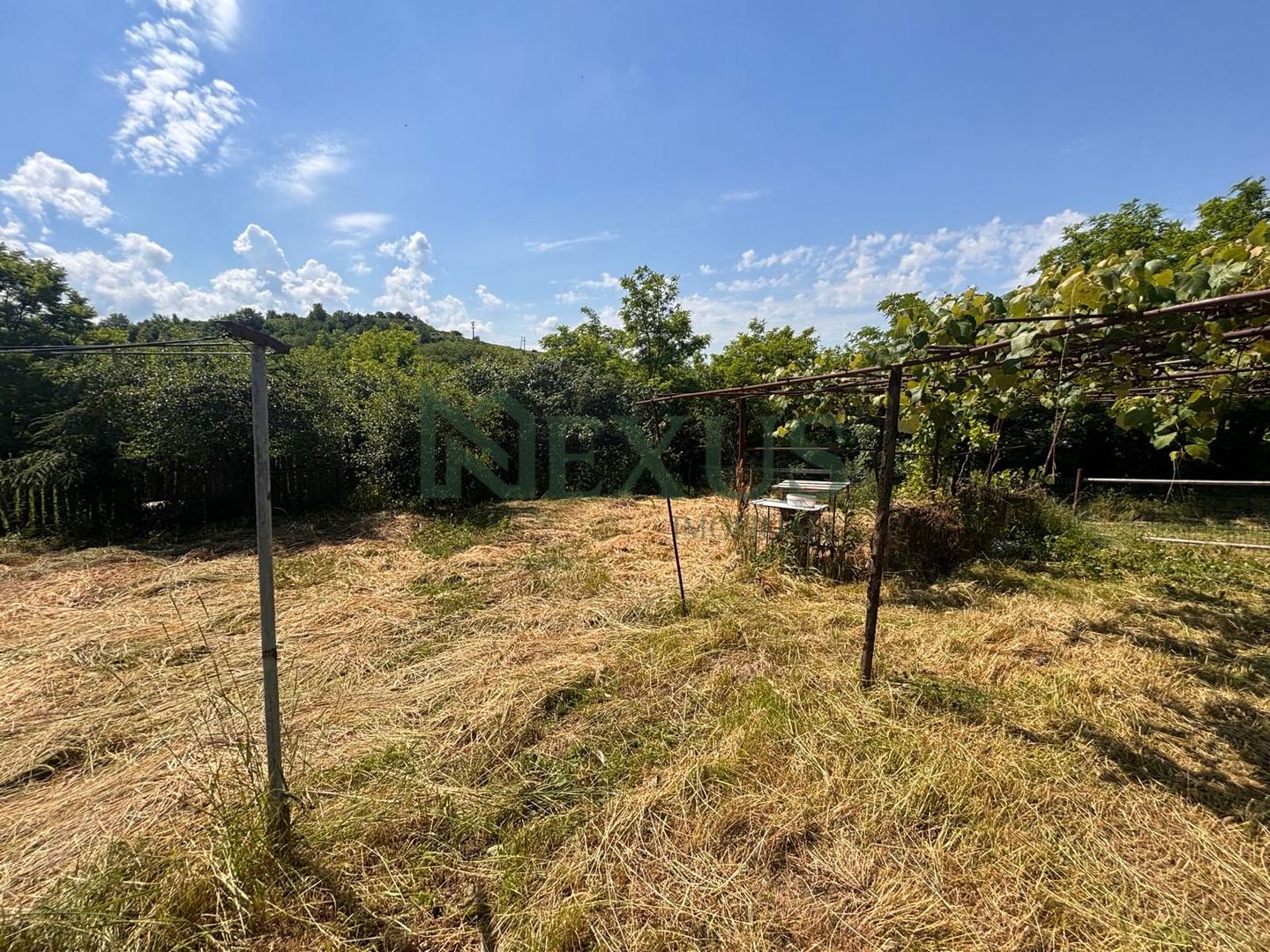 Casă bătrânească cu teren de 3.200 mp în Hertioana de Jos, jud.Bacău - Poză 18