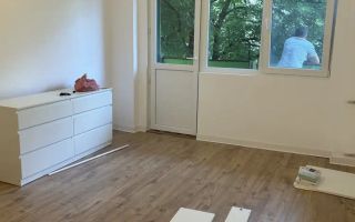 De vanzare apartament 3 camere renovat total, Rahova/Teius - Poză 3