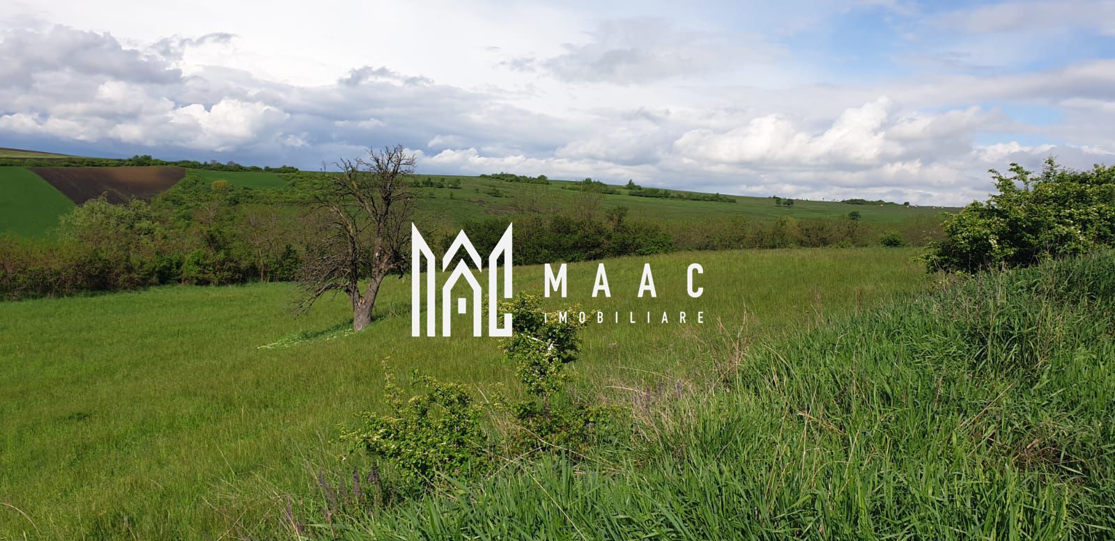 Teren | S+P+E | S+P+M | Intravilan | 9826 MP | Sura Mare - Poză 3