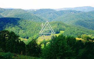 CASĂ și TEREN 85.000 mp – Casa părintească Părintele Arsenie Boca - Poză 5