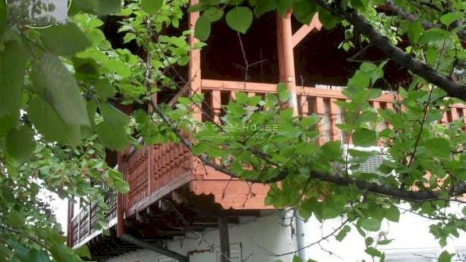 Casa Vacanta Izvorani - Poză 2