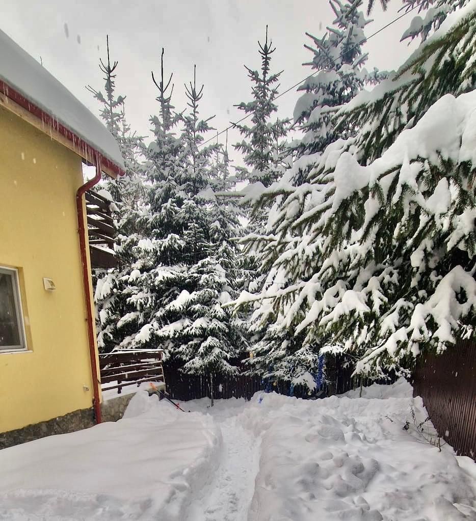 Casa de vacanta la liziera padurii cu vedere libera catre muntii Bucegi - Poză 11