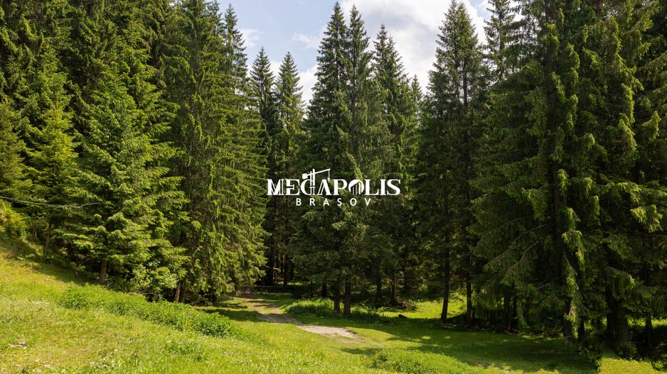 Pretabil Hotel,Pensiune,Case de Vacanta/Utilitati/PUZ - Poză 10