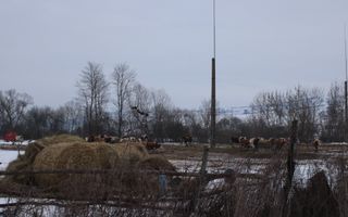 Teren 8000 mp I Intravilan I Utilitati- Vurpar - Poză 4