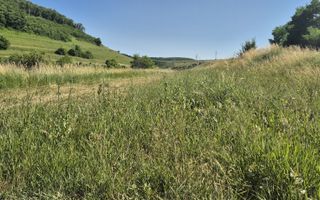 Vand teren Hala  ,  casa , duplex ,la asfalt Luna de sus 1000mp - Poză 7