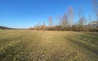 Teren de 7.500 mp de vânzare în Bradu, Avrig-COMISION 0% – lângă râul Olt. - Poză 7