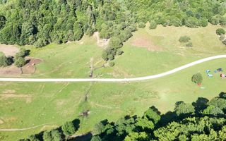 2 Loturi a 2124+2744mp Barsa Fierului / Plaiul Foii - Poză 4