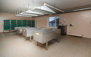 Proprietate specială de vânzare ”Fabrică de producere a medicamentelor de uz veterinar” - Poză 7