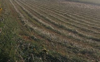 Teren extravilan de vânzare în Vânători, comuna Popricani - Poză 6