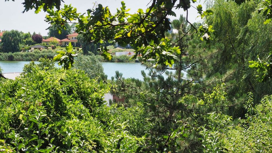 Vila 6 camere-teren 1800mp-Snagov Izvorani-lac - Poză 18