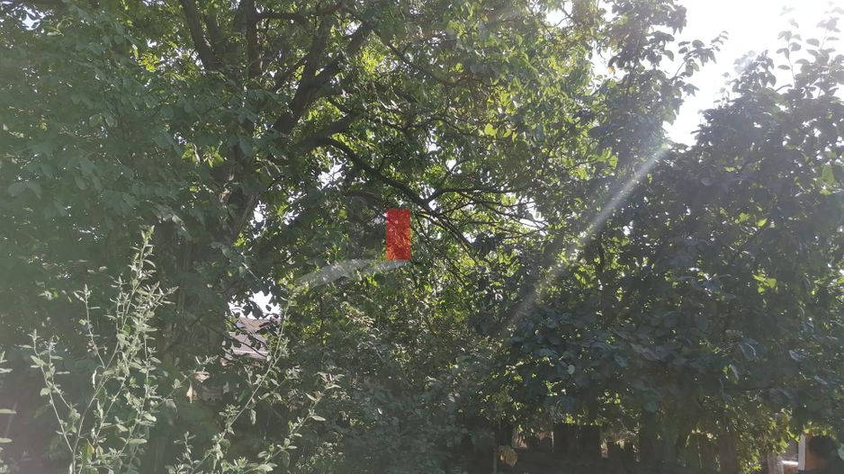 Afumati- Ilfov - 899mp-Teren - ZERO Comision Cumparator - Poză 9