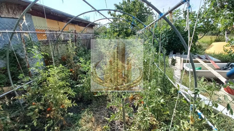 Casă individuală Plopi, 75 mp, teren 1.365 mp, 2 corpuri - Poză 8