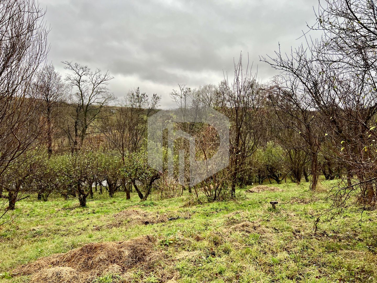 Teren cu livada+ casa de vanzare in Talmacel- 4000 mp - Poză 3