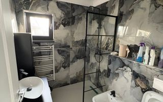 De vânzare casa in LUNCA CETATUII - Poză 7