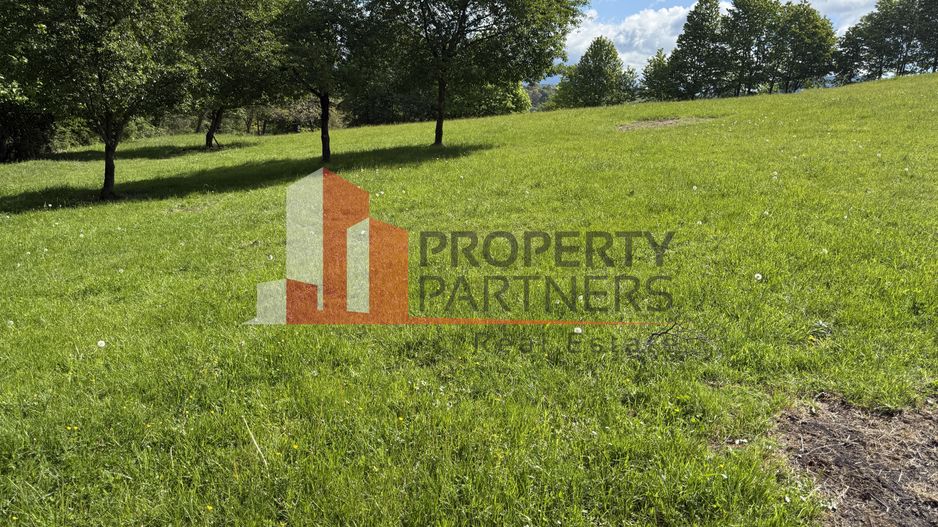 Teren Bran Sohodol 6700 mp - Poză 5