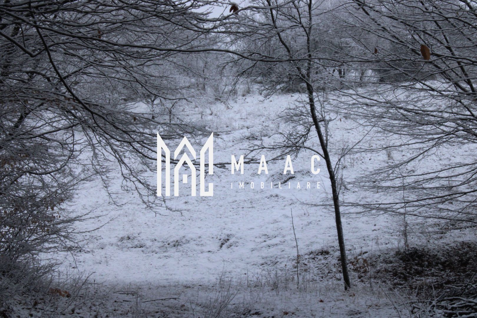 Teren cu izvor de apă minerală  Dangești, Punctul Valea Mare - Poză 4