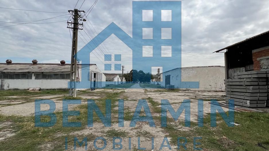 60.000mp Ferma de bovine, păsări, porcine, culturi agricole Diverse - Poză 6