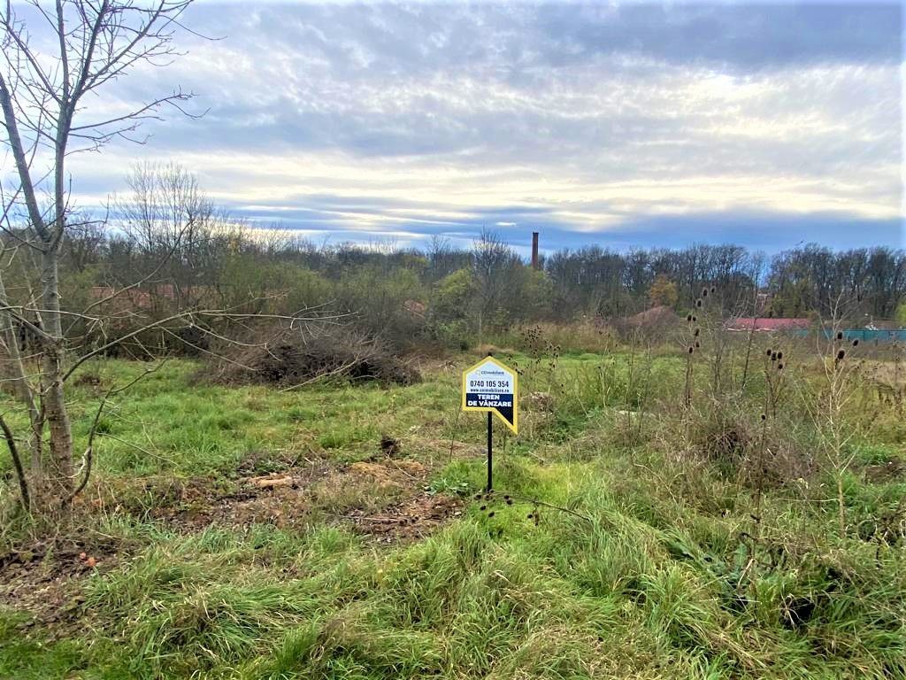 Terenuri de vânzare BUZIAS - Poză 7