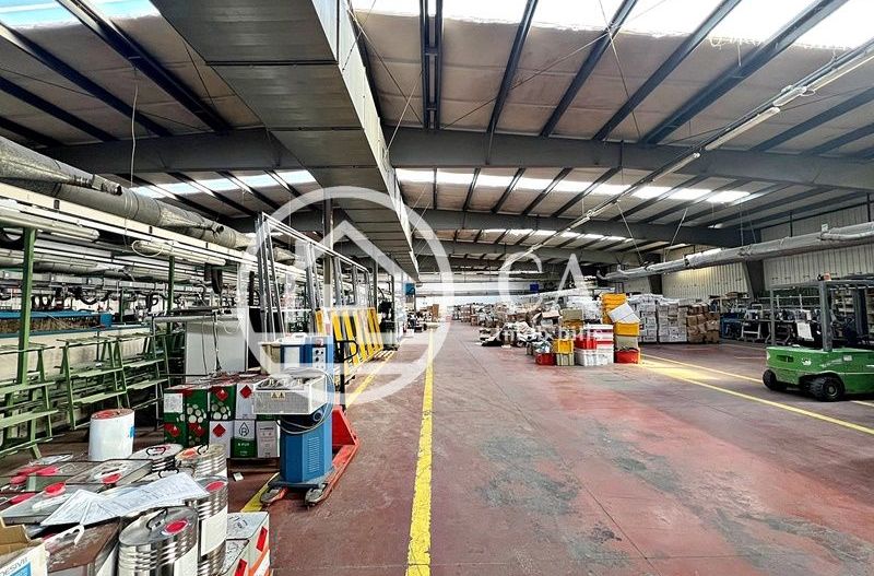 Hală de închiriat în zona industrială Santion, Bihor - Poză 9