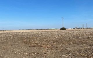 Teren agricol în Zona Sagului - Poză 10